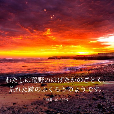 Picture 03 - 詩篇 102:6 JPN - わたしは荒野のはげたかのごとく、 - Bible Verse Picture