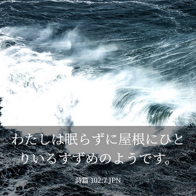 Picture 03 - 詩篇 102:7 JPN - わたしは眠らずに屋根にひとりいる - Bible Verse Picture