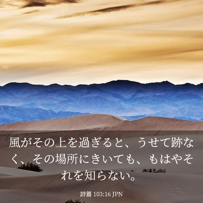 Picture 03 - 詩篇 103:16 JPN - 風がその上を過ぎると、うせて跡な - Bible Verse Picture