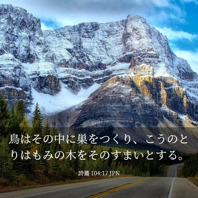 Picture 03 - 詩篇 104:17 JPN - 鳥はその中に巣をつくり、こうのと - Bible Verse Picture