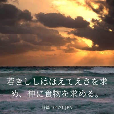 Picture 03 - 詩篇 104:21 JPN - 若きししはほえてえさを求め、神に - Bible Verse Picture