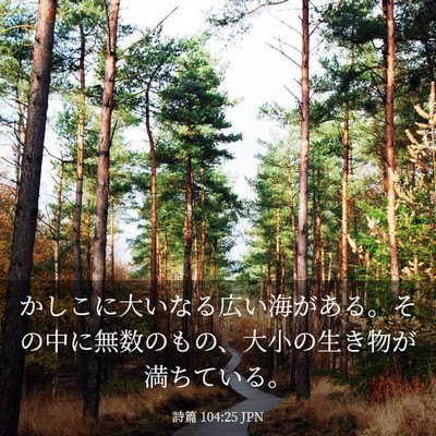 Picture 03 - 詩篇 104:25 JPN - かしこに大いなる広い海がある。そ - Bible Verse Picture