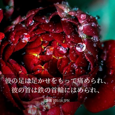 Picture 03 - 詩篇 105:18 JPN - 彼の足は足かせをもって痛められ、 - Bible Verse Picture