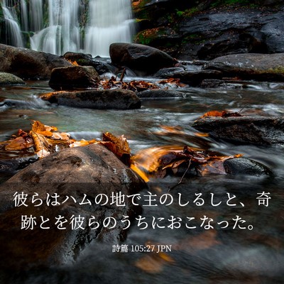 Picture 03 - 詩篇 105:27 JPN - 彼らはハムの地で主のしるしと、奇 - Bible Verse Picture