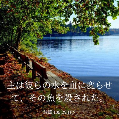 Picture 03 - 詩篇 105:29 JPN - 主は彼らの水を血に変らせて、その - Bible Verse Picture