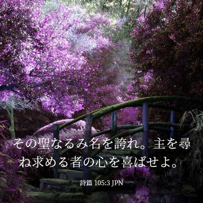 Picture 03 - 詩篇 105:3 JPN - その聖なるみ名を誇れ。主を尋ね求 - Bible Verse Picture