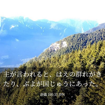 Picture 03 - 詩篇 105:31 JPN - 主が言われると、はえの群れがきた - Bible Verse Picture