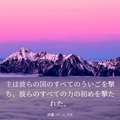 Picture 03 - 詩篇 105:36 JPN - 主は彼らの国のすべてのういごを撃 - Bible Verse Picture