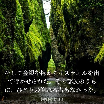 Picture 03 - 詩篇 105:37 JPN - そして金銀を携えてイスラエルを出 - Bible Verse Picture