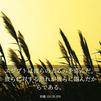 Picture 03 - 詩篇 105:38 JPN - エジプトは彼らの去るのを喜んだ。 - Bible Verse Picture