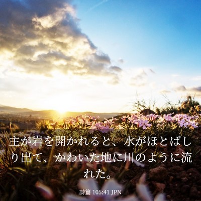 Picture 03 - 詩篇 105:41 JPN - 主が岩を開かれると、水がほとばし - Bible Verse Picture