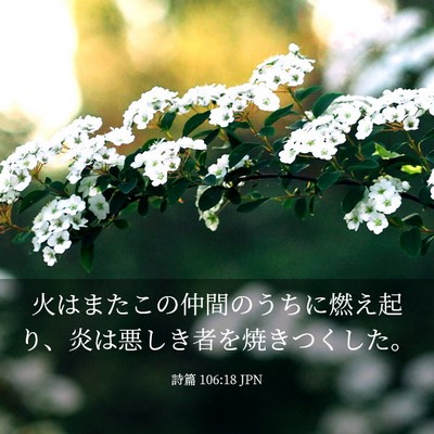 Picture 03 - 詩篇 106:18 JPN - 火はまたこの仲間のうちに燃え起り - Bible Verse Picture