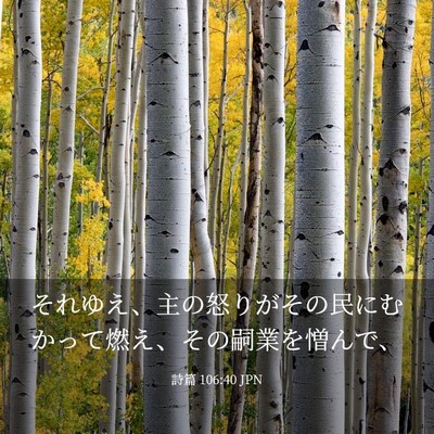 Picture 03 - 詩篇 106:40 JPN - それゆえ、主の怒りがその民にむか - Bible Verse Picture