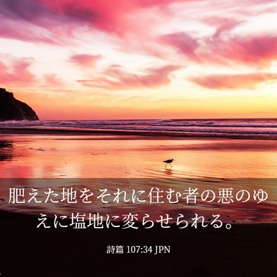 Picture 03 - 詩篇 107:34 JPN - 肥えた地をそれに住む者の悪のゆえ - Bible Verse Picture