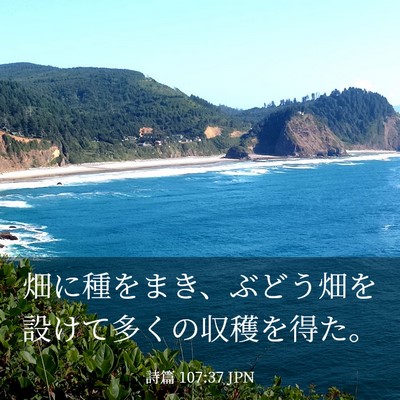 Picture 03 - 詩篇 107:37 JPN - 畑に種をまき、ぶどう畑を設けて多 - Bible Verse Picture