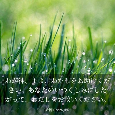 Picture 03 - 詩篇 109:26 JPN - わが神、主よ、わたしをお助けくだ - Bible Verse Picture