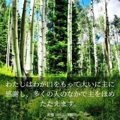 Picture 03 - 詩篇 109:30 JPN - わたしはわが口をもって大いに主に - Bible Verse Picture