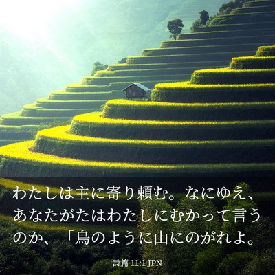 Picture 03 - 詩篇 11:1 JPN - わたしは主に寄り頼む。なにゆえ、 - Bible Verse Picture