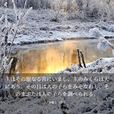 Picture 03 - 詩篇 11:4 JPN - 主はその聖なる宮にいまし、主のみ - Bible Verse Picture
