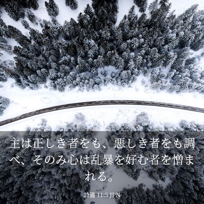 Picture 03 - 詩篇 11:5 JPN - 主は正しき者をも、悪しき者をも調 - Bible Verse Picture