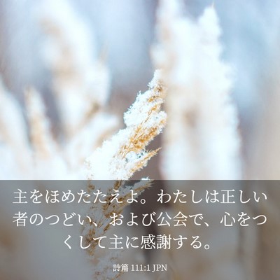 Picture 03 - 詩篇 111:1 JPN - 主をほめたたえよ。わたしは正しい - Bible Verse Picture