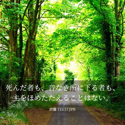 Picture 03 - 詩篇 115:17 JPN - 死んだ者も、音なき所に下る者も、 - Bible Verse Picture