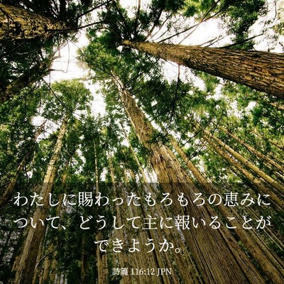 Picture 03 - 詩篇 116:12 JPN - わたしに賜わったもろもろの恵みに - Bible Verse Picture