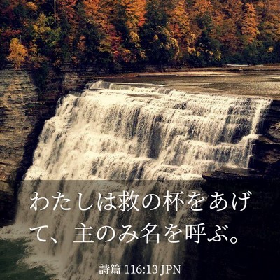 Picture 03 - 詩篇 116:13 JPN - わたしは救の杯をあげて、主のみ名 - Bible Verse Picture