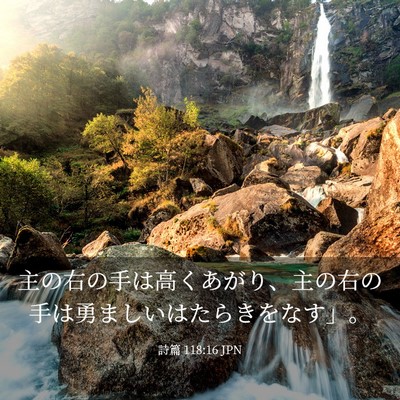 Picture 03 - 詩篇 118:16 JPN - 主の右の手は高くあがり、主の右の - Bible Verse Picture