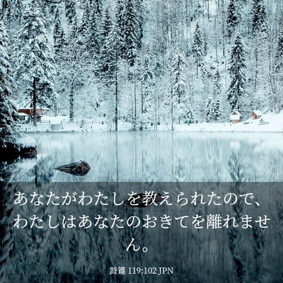 Picture 03 - 詩篇 119:102 JPN - あなたがわたしを教えられたので、 - Bible Verse Picture