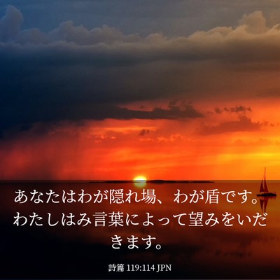 Picture 03 - 詩篇 119:114 JPN - あなたはわが隠れ場、わが盾です。 - Bible Verse Picture