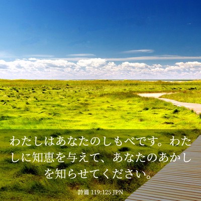 Picture 03 - 詩篇 119:125 JPN - わたしはあなたのしもべです。わた - Bible Verse Picture