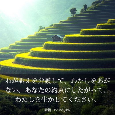Picture 03 - 詩篇 119:154 JPN - わが訴えを弁護して、わたしをあが - Bible Verse Picture