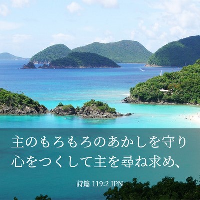 Picture 03 - 詩篇 119:2 JPN - 主のもろもろのあかしを守り心をつ - Bible Verse Picture