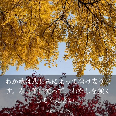 Picture 03 - 詩篇 119:28 JPN - わが魂は悲しみによって溶け去りま - Bible Verse Picture