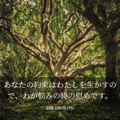 Picture 03 - 詩篇 119:50 JPN - あなたの約束はわたしを生かすので - Bible Verse Picture