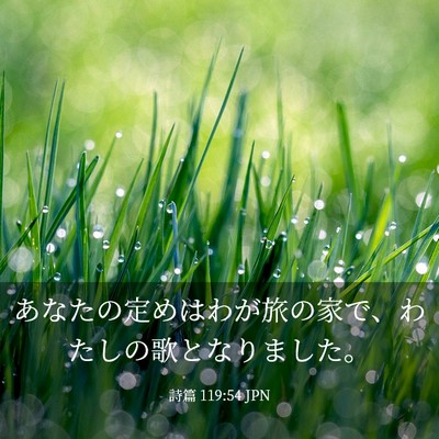 Picture 03 - 詩篇 119:54 JPN - あなたの定めはわが旅の家で、わた - Bible Verse Picture