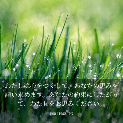 Picture 03 - 詩篇 119:58 JPN - わたしは心をつくして、あなたの恵 - Bible Verse Picture