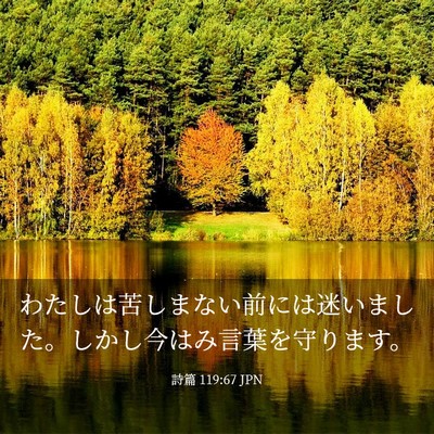 Picture 03 - 詩篇 119:67 JPN - わたしは苦しまない前には迷いまし - Bible Verse Picture