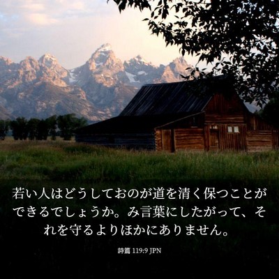 Picture 03 - 詩篇 119:9 JPN - 若い人はどうしておのが道を清く保 - Bible Verse Picture