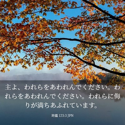 Picture 03 - 詩篇 123:3 JPN - 主よ、われらをあわれんでください - Bible Verse Picture