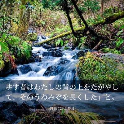 Picture 03 - 詩篇 129:3 JPN - 耕す者はわたしの背の上をたがやし - Bible Verse Picture