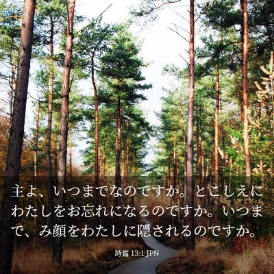 Picture 03 - 詩篇 13:1 JPN - 主よ、いつまでなのですか。とこし - Bible Verse Picture