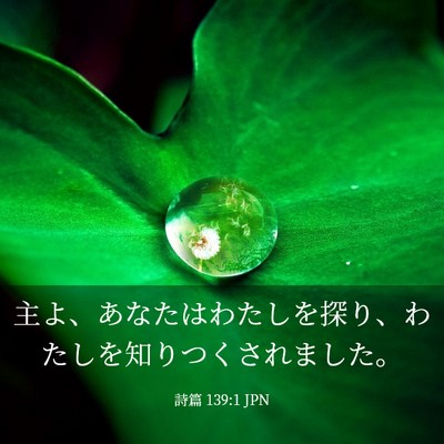 Picture 03 - 詩篇 139:1 JPN - 主よ、あなたはわたしを探り、わた - Bible Verse Picture