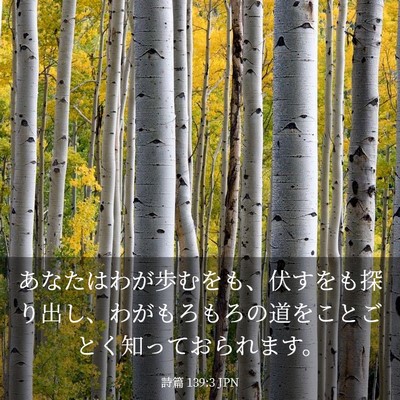 Picture 03 - 詩篇 139:3 JPN - あなたはわが歩むをも、伏すをも探 - Bible Verse Picture