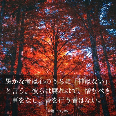 Picture 03 - 詩篇 14:1 JPN - 愚かな者は心のうちに「神はない」 - Bible Verse Picture