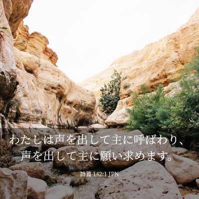 Picture 03 - 詩篇 142:1 JPN - わたしは声を出して主に呼ばわり、 - Bible Verse Picture