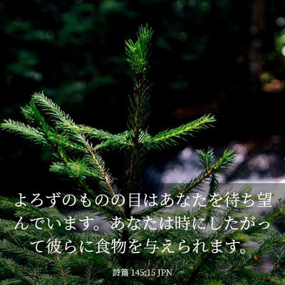 Picture 03 - 詩篇 145:15 JPN - よろずのものの目はあなたを待ち望 - Bible Verse Picture