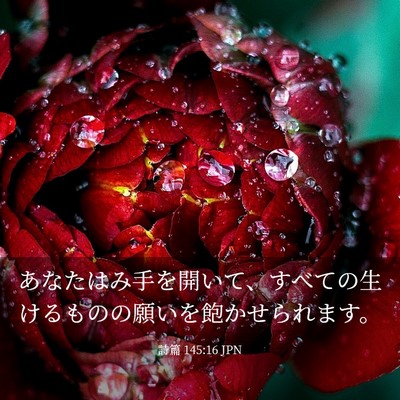 Picture 03 - 詩篇 145:16 JPN - あなたはみ手を開いて、すべての生 - Bible Verse Picture