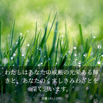 Picture 03 - 詩篇 145:5 JPN - わたしはあなたの威厳の光栄ある輝 - Bible Verse Picture